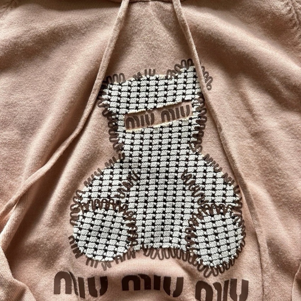 Miu Miu Blush Pink Teddy Pullover Hoodie - Picture 2 of 5